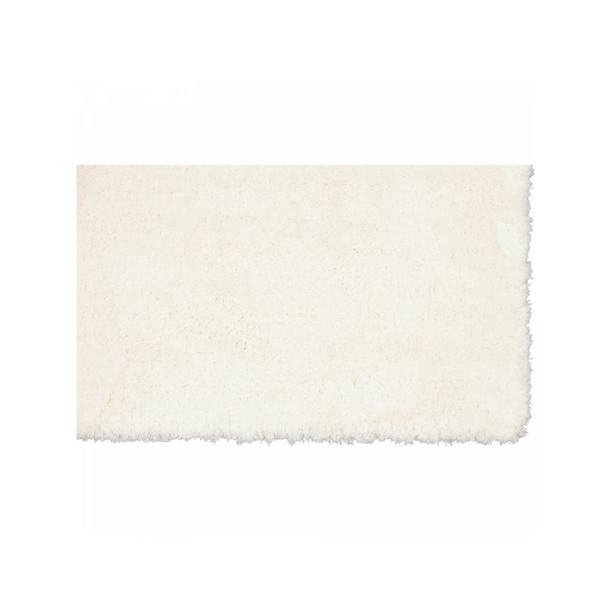 Solid 1009 - Image 3