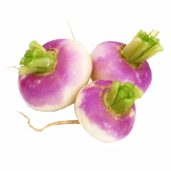 Neper (500 gr)